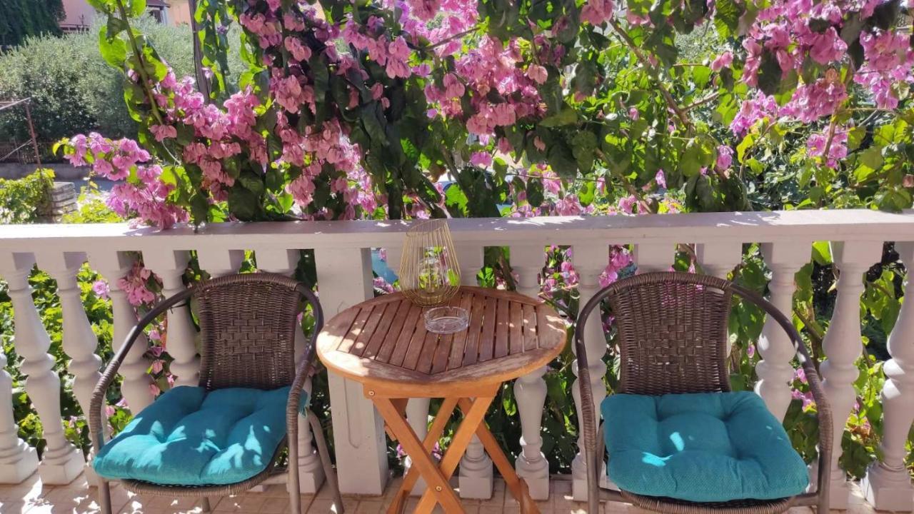 Toto Apartments Zadar Eksteriør billede